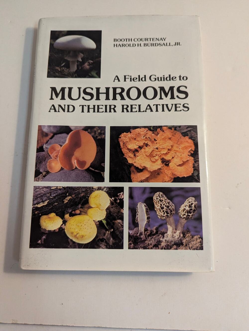 Vintage A Field Guide to Mushrooms and Their Relatives Booth Courtenay 1982